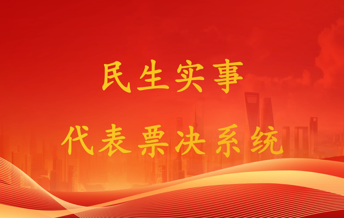 民生实事代表票决系统